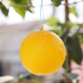 1pc Sticky Traps Balls; Houseplant Sticky Bug Traps Capturing Fruit Flies; Mosquitoes Other Flying Insects; Cute Ball Design; Sticky Fruit Fly Traps F (Color: Yellow)