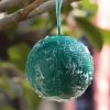 1pc Sticky Traps Balls; Houseplant Sticky Bug Traps Capturing Fruit Flies; Mosquitoes Other Flying Insects; Cute Ball Design; Sticky Fruit Fly Traps F