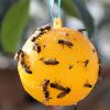 1pc Sticky Traps Balls; Houseplant Sticky Bug Traps Capturing Fruit Flies; Mosquitoes Other Flying Insects; Cute Ball Design; Sticky Fruit Fly Traps F